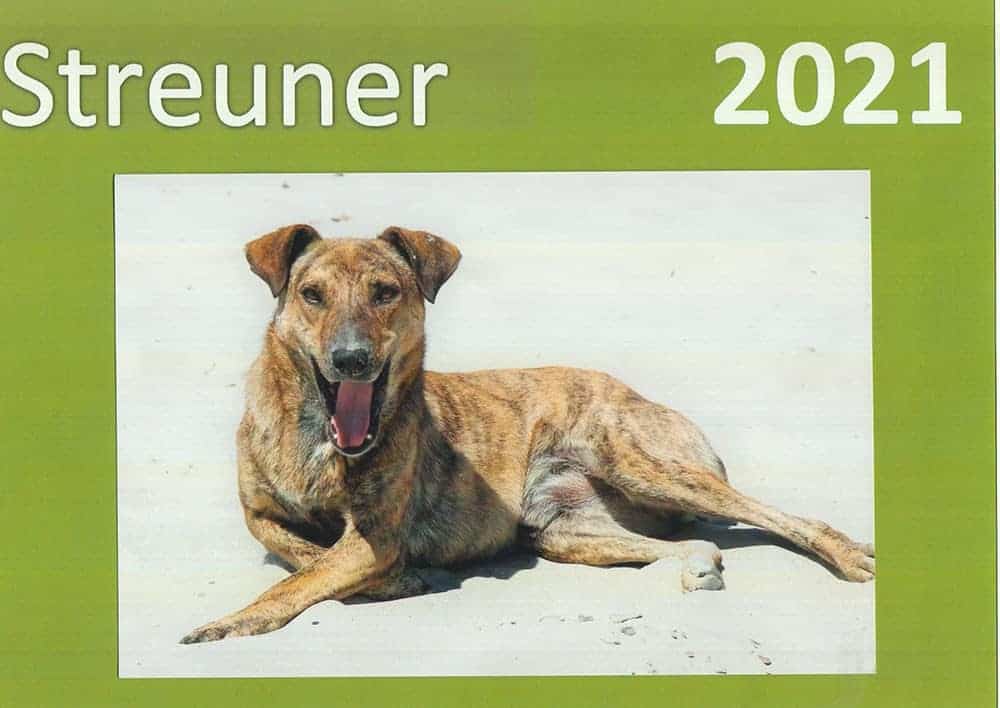 Kalender 2021 Hunde kids4dogs
